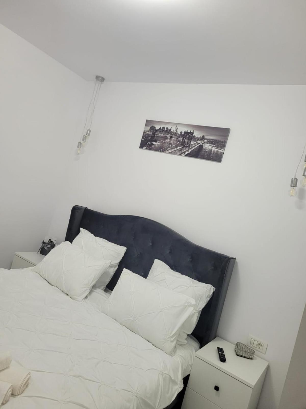 Tag Apartament تيميشورا المظهر الخارجي الصورة